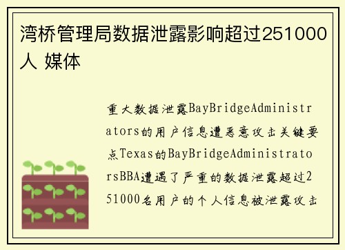 湾桥管理局数据泄露影响超过251000人 媒体 湾桥管理局数据泄露影响超过251000人 媒体